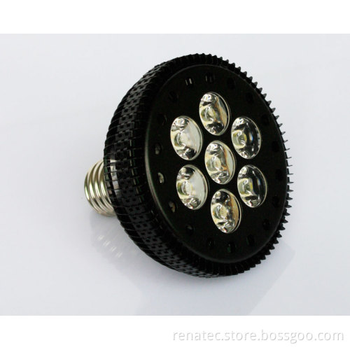 LED Globe 01